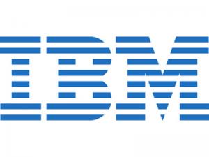 IBM 1.8TB 10K 6Gbps SAS 2.5