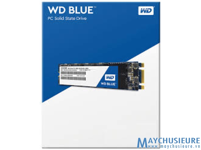 WD BLUE 250GB SATA III 6Gb/s ( M.2 2280) Internal Solid State Drive (SSD)